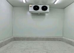 Owl International (D22), Factory #547286331